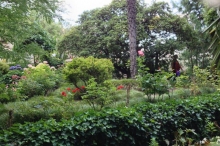 giardino-2