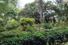 giardino-2